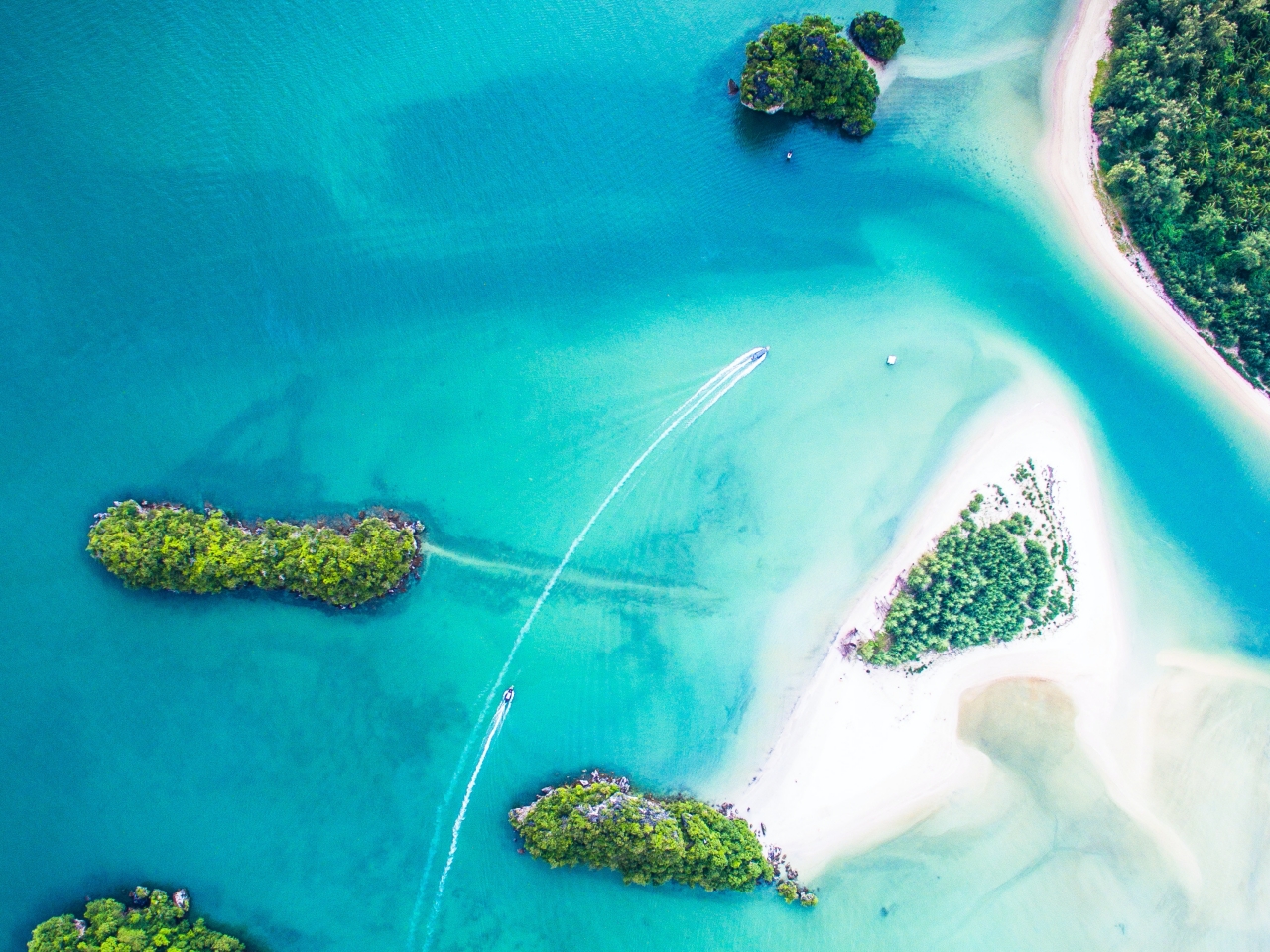 الطارف بوابة الشرق